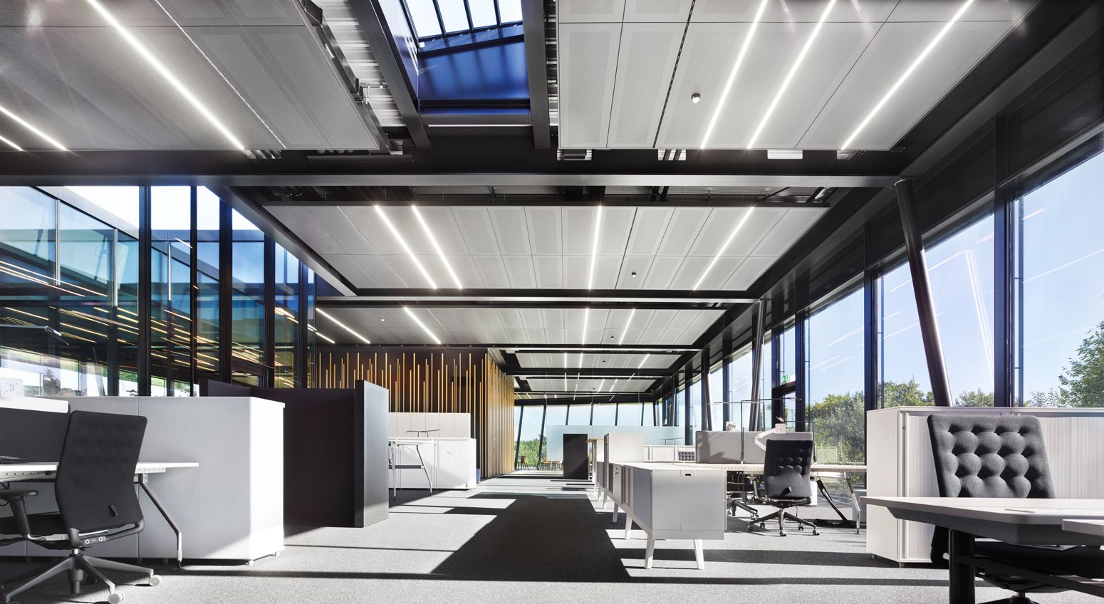 Perspektive ins lichtdurchflutete Open-Office.