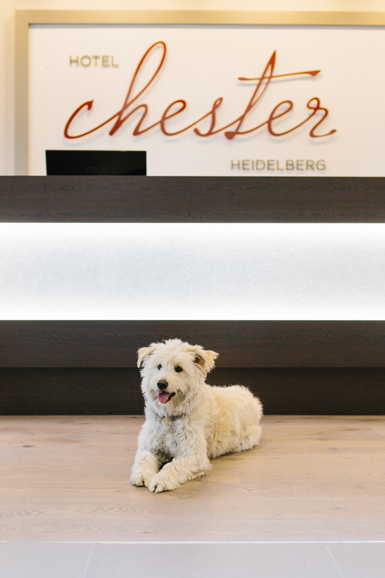 Anspruchsvolle Gäste 
verlangen kreative Kompetenz.