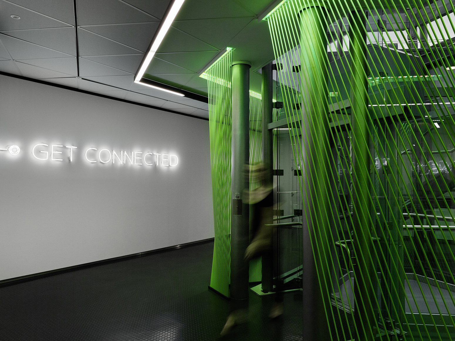 Seilinstallation mit LED-Beleuchtung.